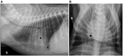 A retrospective study on parapneumonic effusion in 130 dogs with a clinical diagnosis of pneumonia